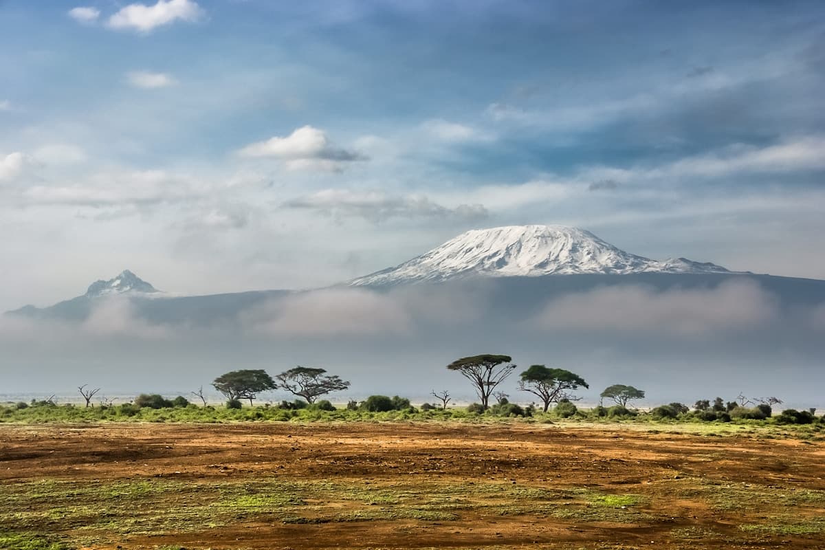 Vue de Bertoua, capitale de la région Est du Cameroun — opportunités d'emploi et travail